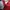 Reebok Y2K Sportswear Jersey Wanita white red photo 5