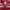Reebok Y2K Sportswear Jersey Wanita white red photo 7