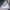 Dickies Streetwear Casual Parka Pria White