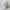 Herschel Supply.Co Canvas White Unisex Tote Bag Original photo 4