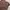 BAGGY PANTS BROWN photo 6