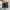Nike Streetwear Sportswear Sneakers Pria black photo 4