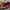 Michael Kors Luxury Minimalist Handbag Wanita red orange photo 5