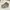 Nike Casual Sneakers Pria white gray photo 1