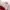 Forever 21 Casual Fleece Pria white red photo 2