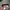 Kacamata Ray-Ban B&L USA Outdoorsman Original Vintage photo 4
