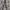 Realtree Streetwear Y2K Pria green black photo 1