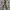 Realtree Streetwear Y2K Pria Green Black