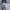 Compagno Streetwear Hoody Pria gray photo 2