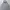 Compagno Streetwear Hoody Pria Gray