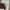 Vivienne Westwood Y2K Bags & purse Wanita brown photo 3