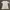 Pull & Bear Fairy Casual T-shirt Wanita white gray photo 1