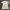Pull & Bear Fairy Casual T-shirt Wanita White Gray