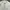 Issey Miyake Streetwear Bomber jacket Pria white photo 4