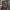 Japanese Souvenir Bullet Noise Dragon Embroidered Longsleeve photo 9