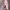 Adidas Streetwear Sneakers Wanita pink photo 2