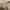 GAP Vintage Casual Casual pants Pria cream photo 3