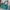 Juicy Couture Y2K Bags & purse Wanita green photo 1
