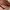 Juicy Couture Y2K Bags & purse Wanita green photo 6