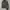 Mammut Softshell Jacket photo 2