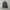 Mammut Softshell Jacket photo 7