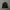 S/Double X Beams Bomber Jacket