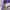 Juicy Couture Y2K Bags & purse Wanita purple photo 5