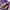Juicy Couture Y2K Bags & purse Wanita purple photo 3
