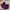 Juicy Couture Y2K Bags & Purse Wanita Purple