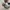 Adidas Casual Sneakers Pria multicolor photo 6