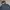 The North Face Streetwear Sportswear Windbreaker Pria navy photo 3