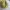 Juicy Couture Y2K Bags & purse Wanita yellow photo 2