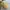 Juicy Couture Y2K Bags & purse Wanita yellow photo 4