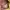 Juicy Couture Y2K Bags & purse Wanita yellow photo 5