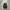Backpack Mark Gonzales