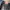 LEVIS 505 photo 6