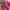 Juicy Couture Y2K Bags & purse Wanita pink photo 2