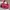Juicy Couture Y2K Bags & purse Wanita pink photo 3
