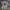 Converse Streetwear T-shirt Pria gray photo 1