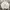 Arnold Palmer Vintage Casual Harrington jacket Pria white photo 1