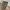 BILLABONG CAMO SURF BOARDSHORT photo 3