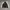 ROUGH & ROAD Vintage Y2K Windbreaker Pria white black photo 1