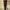 New Balance Essentials Brushed Tricot Training Pant photo 2