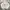 Japanese brand Vintage Casual Harrington jacket Pria cream photo 1