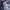 Issey Miyake Casual Maxi dress Wanita gray blue photo 4