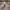 Skechers Sportswear Sneakers Kids multicolor photo 1