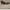 Bally Minimalist Heels Wanita brown photo 3