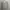 Casual Sweater Wanita gray photo 1