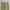 Workpant Dickies 874 Original Fit - Khaki photo 6