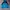 Gorpcore Track jacket Pria black blue photo 1